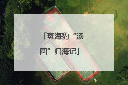 斑海豹“汤圆”归海记