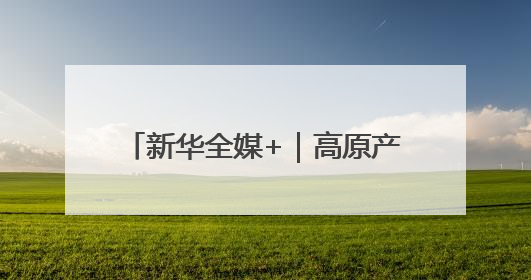 新华全媒+｜高原产品上“云”端——西藏电商发展一线观察