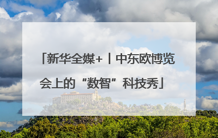 新华全媒+丨中东欧博览会上的“数智”科技秀