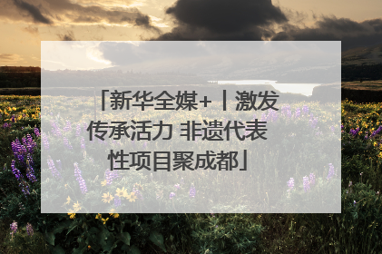 新华全媒+丨激发传承活力 非遗代表性项目聚成都