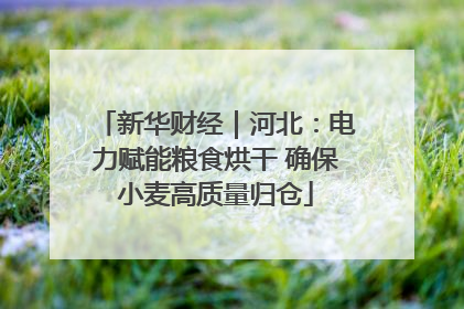 新华财经｜河北：电力赋能粮食烘干 确保小麦高质量归仓