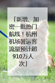 新增、加密一批热门航线！杭州机场暑运客流量预计超910万人次