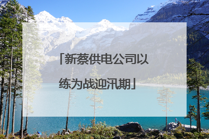 新蔡供电公司以练为战迎汛期