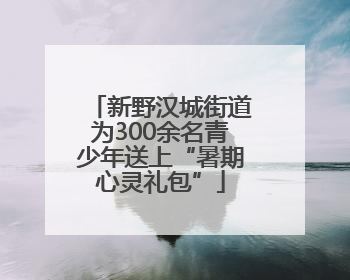 新野汉城街道为300余名青少年送上“暑期心灵礼包”