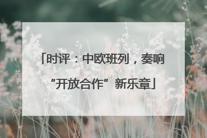 时评：中欧班列，奏响“开放合作”新乐章