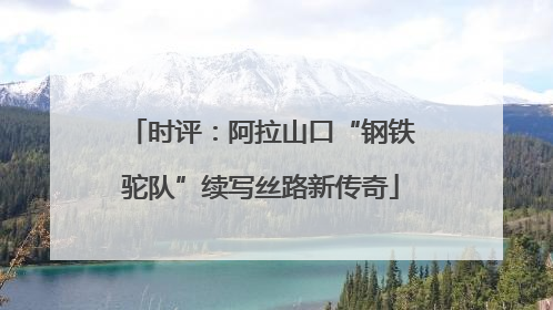 时评：阿拉山口“钢铁驼队”续写丝路新传奇