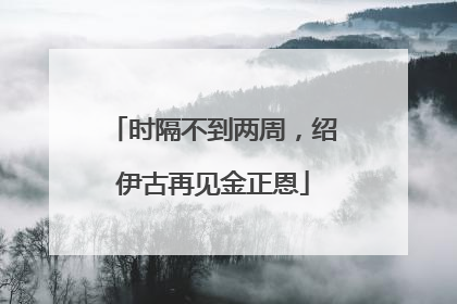 时隔不到两周，绍伊古再见金正恩