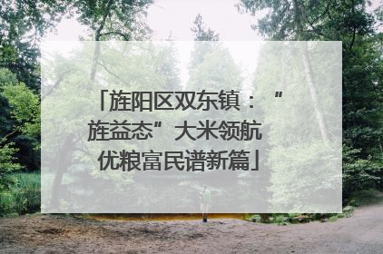 旌阳区双东镇：“旌益态”大米领航 优粮富民谱新篇