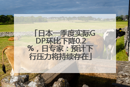 日本一季度实际GDP环比下降0.2%，日专家：预计下行压力将持续存在