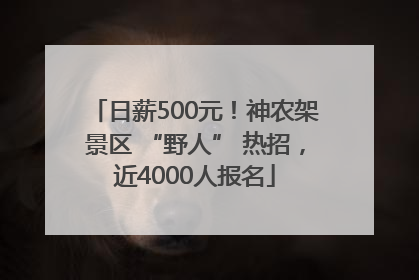 日薪500元！神农架景区 “野人” 热招，近4000人报名