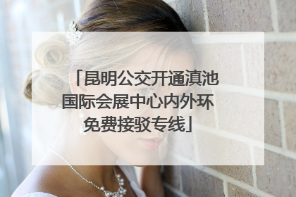 昆明公交开通滇池国际会展中心内外环免费接驳专线