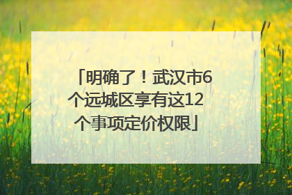 明确了！武汉市6个远城区享有这12个事项定价权限