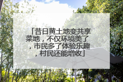 昔日黄土地变共享菜地，不仅环境美了，市民多了体验乐趣，村民还能增收