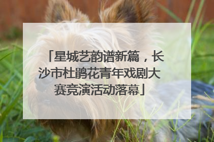 星城艺韵谱新篇，长沙市杜鹃花青年戏剧大赛竞演活动落幕