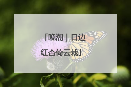 晚潮｜日边红杏倚云栽