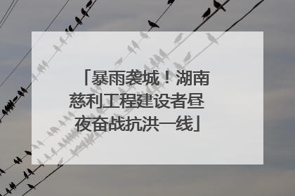 暴雨袭城！湖南慈利工程建设者昼夜奋战抗洪一线