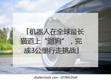 机器人在全球最长猫道上“遛狗”，完成3公里行走挑战