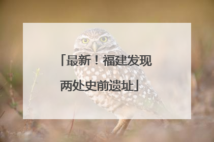最新！福建发现两处史前遗址
