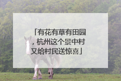 有花有草有田园，杭州这个景中村又给村民送惊喜