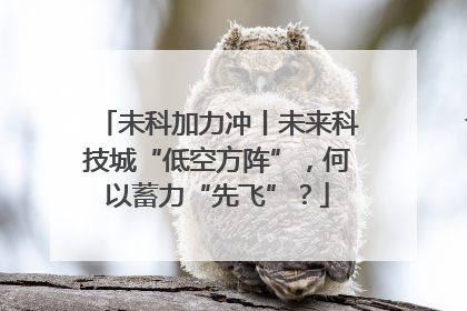 未科加力冲丨未来科技城“低空方阵”，何以蓄力“先飞”？