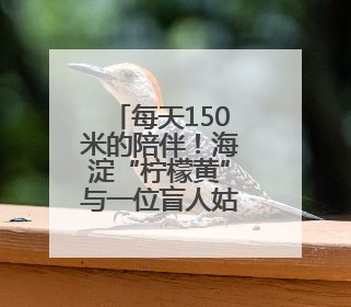 每天150米的陪伴！海淀“柠檬黄”与一位盲人姑娘的约定