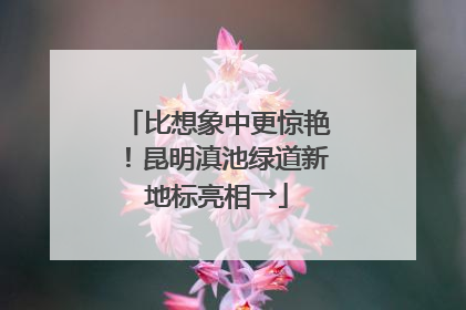 比想象中更惊艳！昆明滇池绿道新地标亮相→