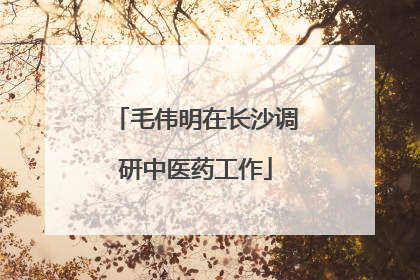 毛伟明在长沙调研中医药工作