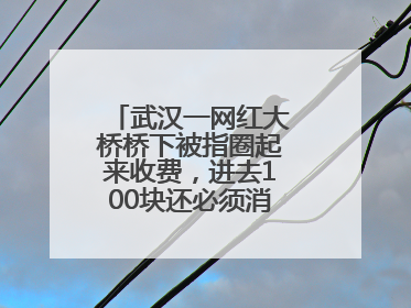 武汉一网红大桥桥下被指圈起来收费，进去100块还必须消费？当地回应