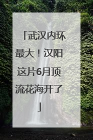 武汉内环最大！汉阳这片6月顶流花海开了