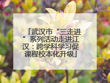 武汉市“三走进”系列活动走进江汉：跨学科学习促课程校本化升级