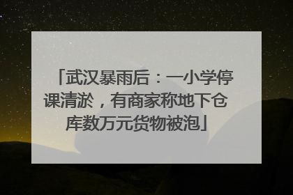 武汉暴雨后：一小学停课清淤，有商家称地下仓库数万元货物被泡