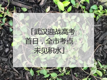 武汉迎战高考首日，全市考点未见积水