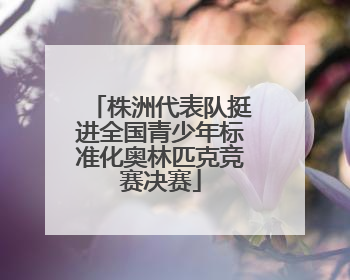 株洲代表队挺进全国青少年标准化奥林匹克竞赛决赛