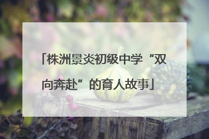 株洲景炎初级中学“双向奔赴”的育人故事