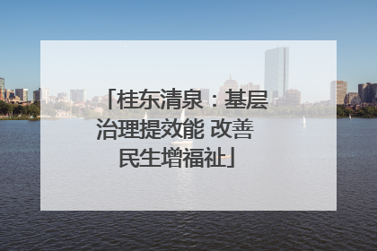 桂东清泉：基层治理提效能 改善民生增福祉