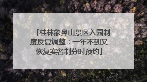 桂林象鼻山景区入园制度反复调整：一年不到又恢复实名制分时预约