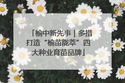 榆中新先事｜多措打造“榆苗陇萃”四大种业育苗品牌