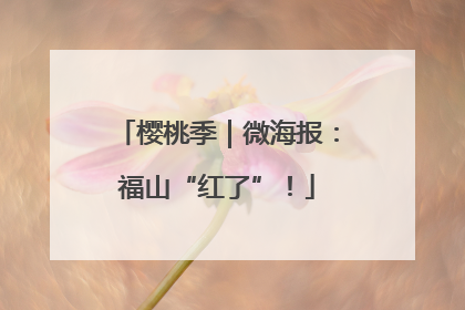 樱桃季｜微海报：福山“红了”！