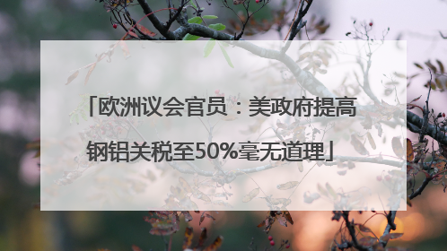 欧洲议会官员：美政府提高钢铝关税至50%毫无道理