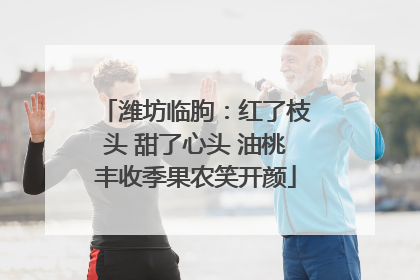 潍坊临朐：红了枝头 甜了心头 油桃丰收季果农笑开颜