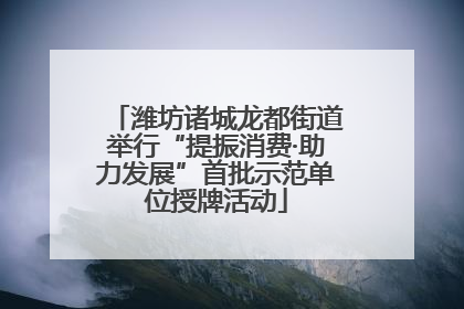 潍坊诸城龙都街道举行“提振消费·助力发展”首批示范单位授牌活动