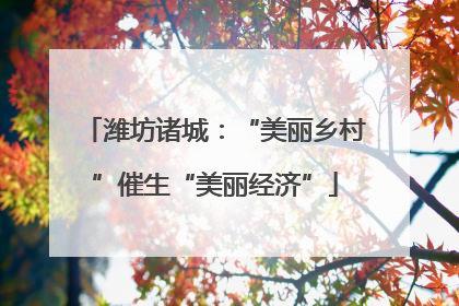潍坊诸城：“美丽乡村”催生“美丽经济”
