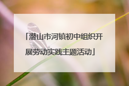 潜山市河镇初中组织开展劳动实践主题活动
