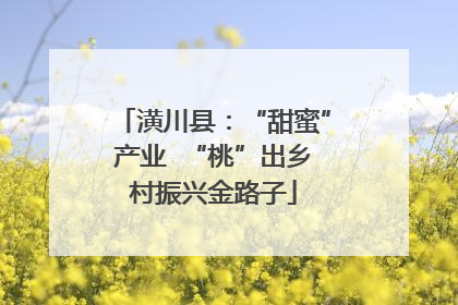 潢川县：“甜蜜”产业  “桃”出乡村振兴金路子