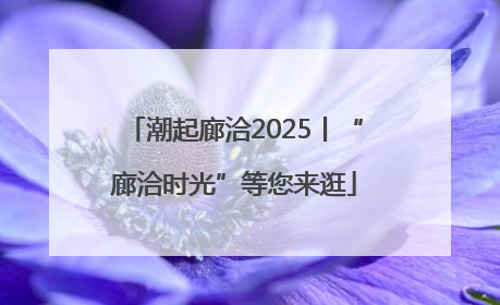 潮起廊洽2025丨“廊洽时光”等您来逛