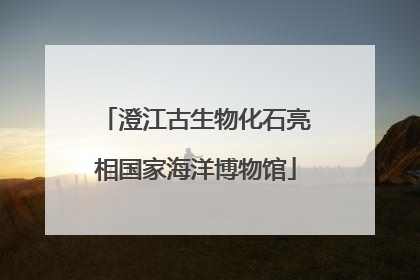 澄江古生物化石亮相国家海洋博物馆