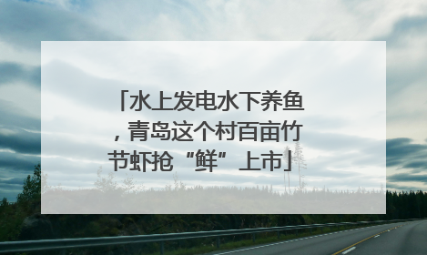 水上发电水下养鱼，青岛这个村百亩竹节虾抢“鲜”上市