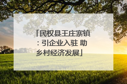 民权县王庄寨镇：引企业入驻 助乡村经济发展