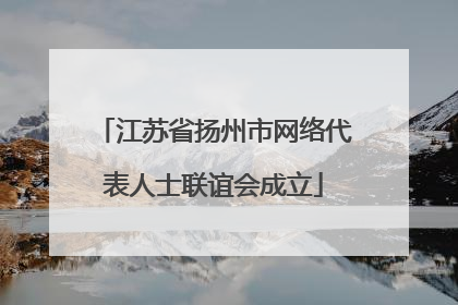 江苏省扬州市网络代表人士联谊会成立