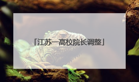 江苏一高校院长调整